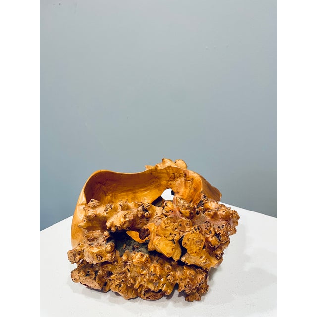 Large Vintage Swedish Bowl in Burl Wood, 1940s For Sale - Image 3 of 6