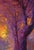 Criscuolo Renato, Yellow Tree, 2009, Oil on Canvas For Sale - Image 3 of 7