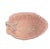 Mediterranean Vintage Large Blush Pink Cabbage Ware Bowl For Sale - Image 3 of 8