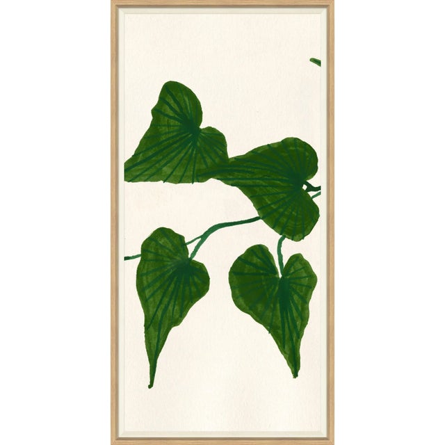 Contemporary Ivy II Framed Art Print For Sale - Image 3 of 3