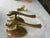 2020s Modern Brass Candelabra Wall Sconce Pair For Sale - Image 5 of 7