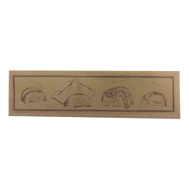 Thomas Holloway, The Head, The Physiognomy, 1810, Etching For Sale