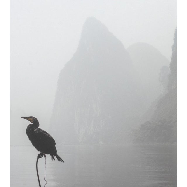 John Deng "Misty Li River" Chromogenic Print For Sale - Image 4 of 10