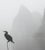 John Deng "Misty Li River" Chromogenic Print For Sale - Image 4 of 10
