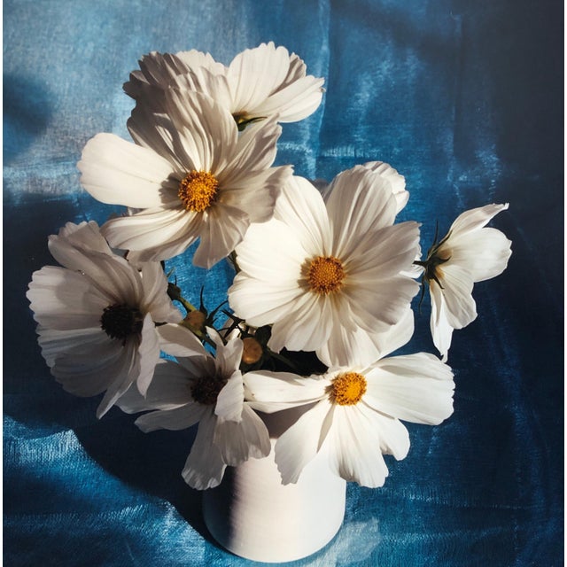 White Cosmo, Photo, The Tappen House, Little Compton, RI (Rhode Island). Hand signed and numbered. small edition of 15,...