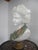 Unknown, Bust of Goddess Ariadne Holding Grapes, Carrara Marble For Sale - Image 9 of 18