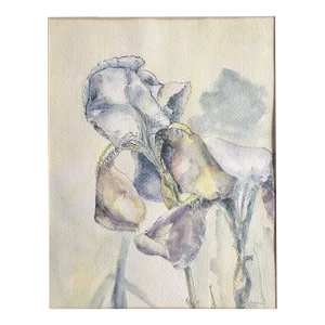 1980’s Original Pen & Ink /Watercolor Painting Irises Signed