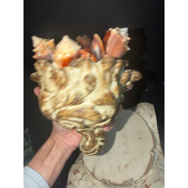 Syroco Celestial Meets the Sea Shell Wall Pocket-Coastal Art Sculpture For Sale - Image 4 of 5