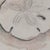 Coastal Signed "Dianne Grusso '91." Original Sand Dollar Watercolor Still Life For Sale - Image 3 of 11