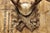 Antique Black Forest Victorian Wall Mounted Taxidermy Large Deer Skull & Antlers For Sale - Image 4 of 17