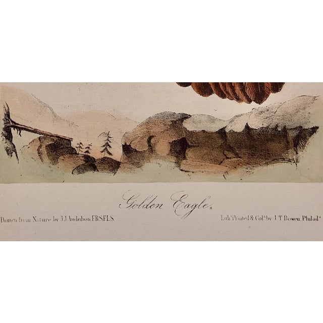 Audubon Golden Eagle: An Original 19th C. Audubon Hand-Colored Bird Lithograph, 1870 For Sale - Image 4 of 5