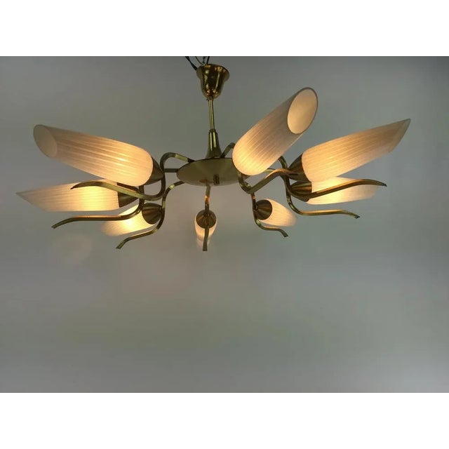 Vintage Brass and Glass Chandelier, 1960s For Sale - Image 12 of 12