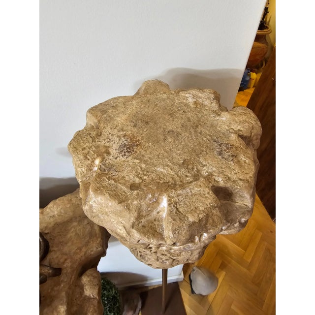 1950s 11th Century Arabic Capital, 1950a For Sale - Image 5 of 9