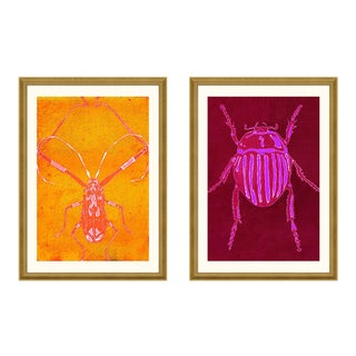 Beetle & Bug Diptych, Bright Series no. 2 & 4 by Jessica Molnar in Gold Frame, Small Art Print For Sale