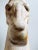 Early 20th Century Hand Carved Wood Camel Head Sculpture For Sale - Image 4 of 13
