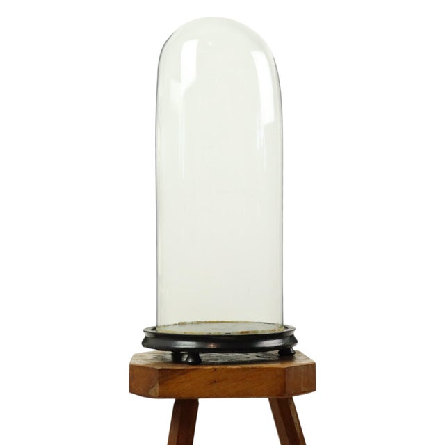 Large Antique Mouth-Blown Glass Dome, 1890s For Sale - Image 5 of 14