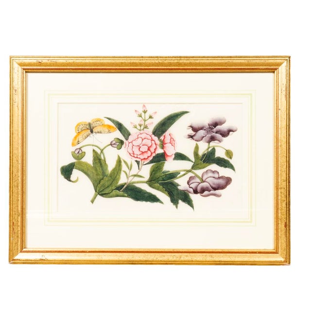 Mid 19th Century Set of Six Chinese Export Framed Pith Paper Watercolor Botanicals For Sale - Image 5 of 8