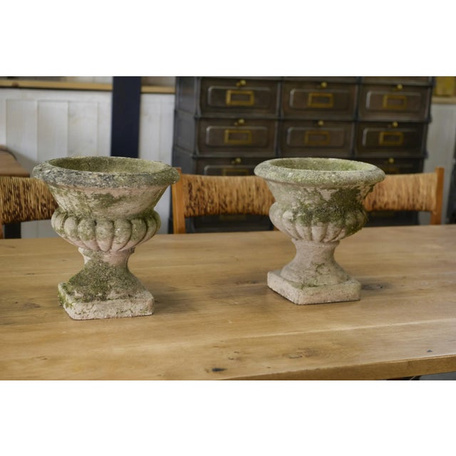 Medici Vases in Reconstituted Stone, 1950s, Set of 2 For Sale - Image 12 of 12