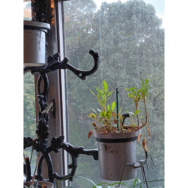 Early 20th Century Solid 68" Tall Black Heavy Solid Wrought Iron Plant Pot Holder Stand For Sale - Image 10 of 10