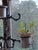 Early 20th Century Solid 68" Tall Black Heavy Solid Wrought Iron Plant Pot Holder Stand For Sale - Image 10 of 10