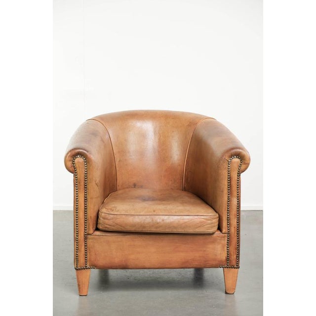 This sturdy sheepskin club armchair in a light cognac color, finished with decorative nails. : This sturdy sheepskin club...