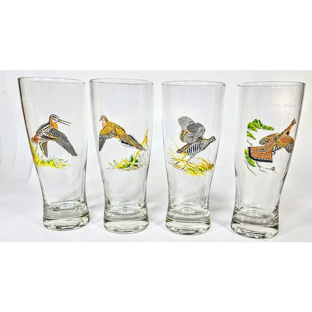 Rare Game Bird Pilsners Collection- Set of Eight For Sale - Image 9 of 18