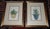 Antique 18th Century Johann Wilhelm Weinmann Folio Size Framed Hand Colored Mezzotints "Aloe Africana" - A Pair For Sale - Image 9 of 9