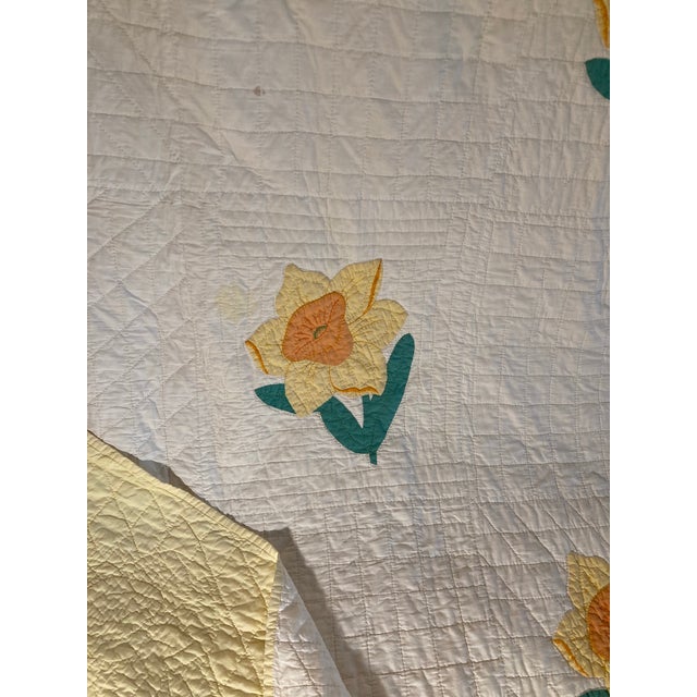 American Daffodil Quilt 1920. Cotton Beautiful Americana Quilt. For Sale - Image 6 of 9