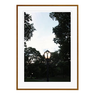 Light Symphony by Stuart Möller Framed For Sale