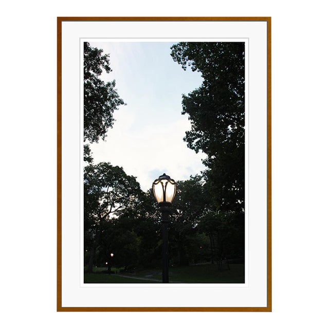 Light Symphony by Stuart Möller Framed For Sale