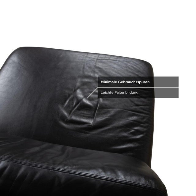 Animal Skin DS-76 Leather Chair from de Sede For Sale - Image 7 of 16
