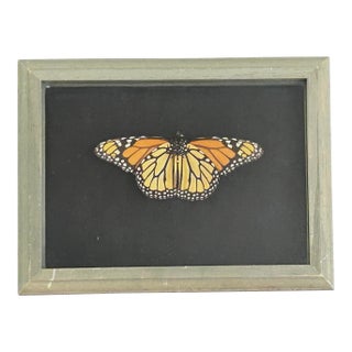 Vintage Decorative Faux Butterfly in Wooden Shadowbox For Sale