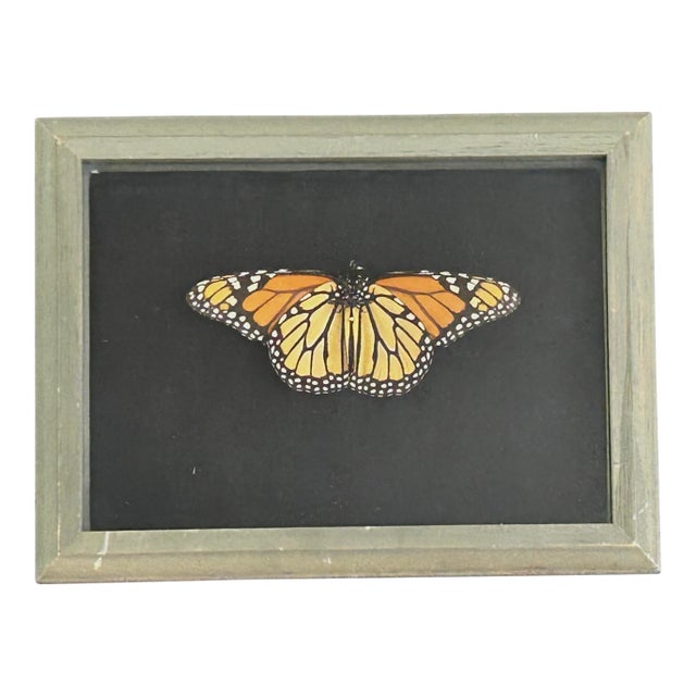 Vintage Decorative Faux Butterfly in Wooden Shadowbox For Sale