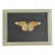 Vintage Decorative Faux Butterfly in Wooden Shadowbox For Sale