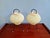 Tripod Lamps in Pale Green Pleated Celluloid, 1960s, Set of 2 For Sale - Image 18 of 18