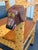 Neo-Folk Art Hand Painted Pine Dog Chair by Craig Carey For Sale - Image 4 of 12