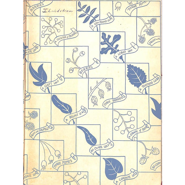 1940s "Savor & Flavor: Berries in Fact and Fancy" 1944 Maril, Lee For Sale - Image 5 of 11