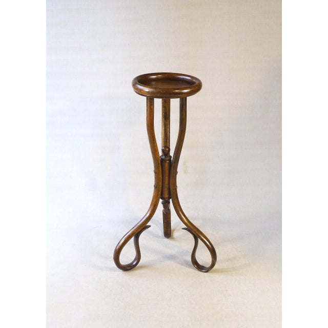 Art Nouveau Bentwood Flower Stand, 1890 For Sale - Image 11 of 14