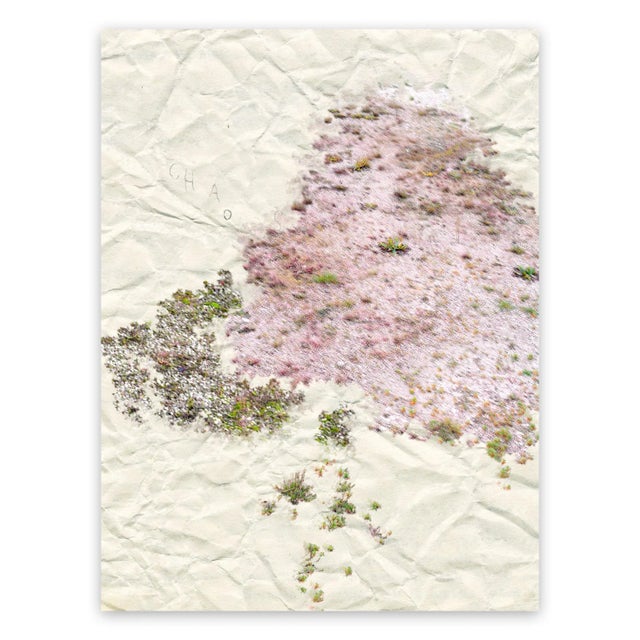 Gianfranco Pezzot Gianfranco Pezzot "I. Anthropological Purity", Photograph For Sale - Image 4 of 4