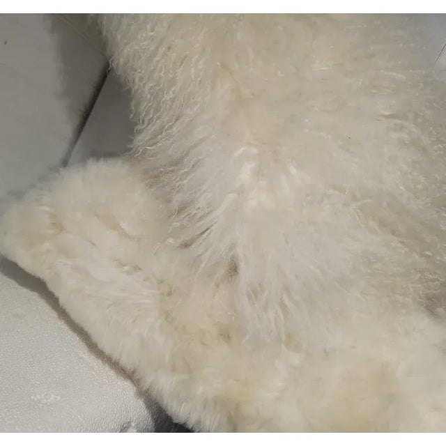 Early 20th Century Two Sheep Skin Fur Pillows For Sale - Image 4 of 6