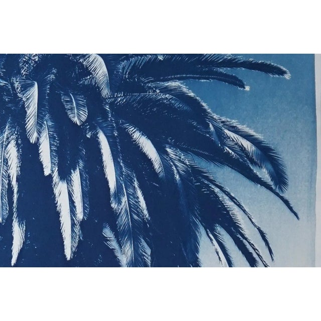"Marrakesh Majorelle Palm", Cyanotype on Watercolor Paper, 100x70cm, Tropical Art 2020, Limited Edition For Sale - Image 9 of 9