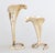 A fine pair of polished solid brass calla lily shaped candlesticks candle holders. These stylish candle holders have a...
