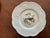 Ceramic Royal Cauldon Bristol Ironstone “Aviary” Bird Plates by h.a. Pausch, Set of 8, Mid-Century For Sale - Image 7 of 13