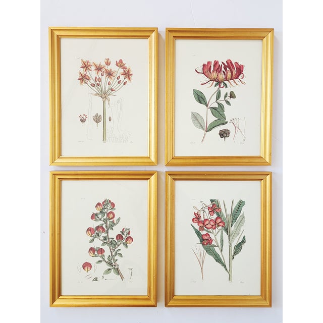 Set of four botanical prints by Shadow Catchers, a company known throughout North America and internationally for their...