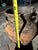 Ceramic Vintage Mediterranean Terracotta Amphora Urn Planter With Aged Patina For Sale - Image 7 of 11