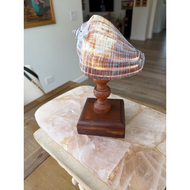 2020s Celestial Meets the Sea Wooden Candlestick Topped With Shell-Coastal Art Sculpture For Sale - Image 5 of 5