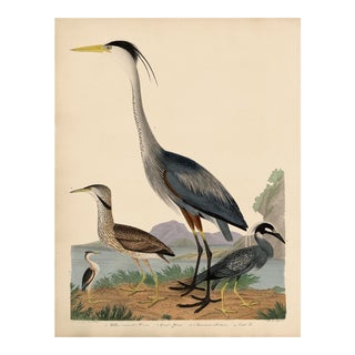 Blue Heron Large For Sale