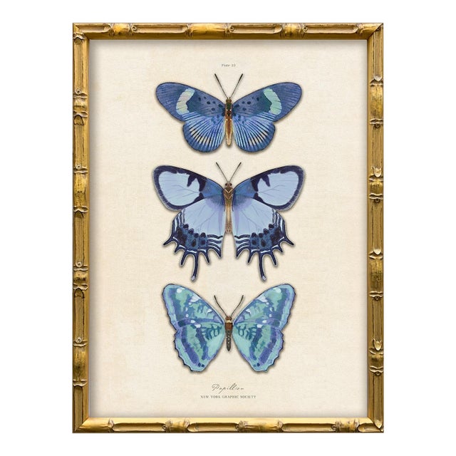 Reproduction Vintage Blue Butterfly Art Print (2), Framed For Sale