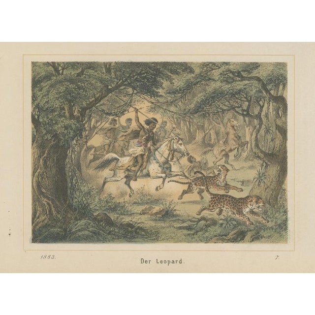 German School, Leopard Hunt in the Jungle Wildlife Adventure Lithograph, 1883, Lithograph For Sale - Image 9 of 9