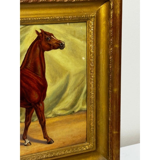English Victorian Sporting Oil Painting of an Arabian Horse in the Bombay Stables, India, c.1900 For Sale - Image 9 of 18